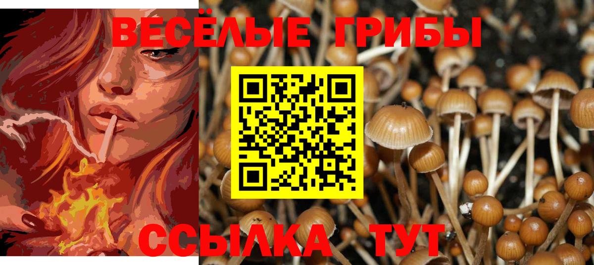 Псилоцибиновые грибы ЛСД Холмск