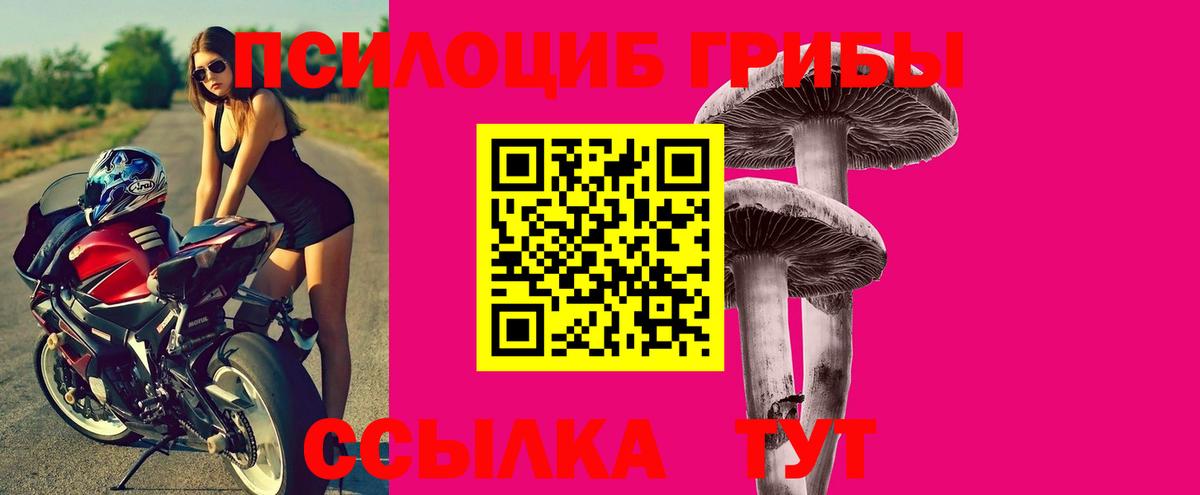 Галлюциногенные грибы Psilocybine cubensis  Псилоцибиновые грибы прущие грибы  купить  сайты  Холмск  Вход с VPN 